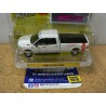 Dodge RAM 2500 2021 "Garbage Pail Kids" 54070-D Greenlight 1.64ième