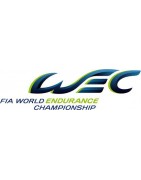 FIA GT, Cup, WEC & Endurance